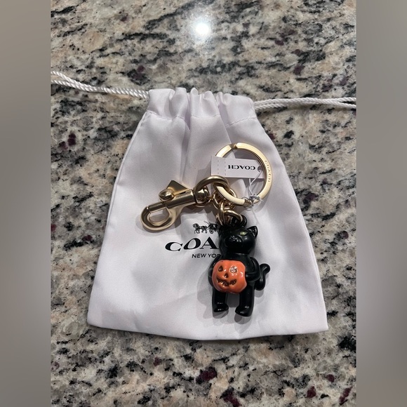 Coach NWT 2024 Halloween Black Cat with Pumpkin Key Chain / Bag Charm CW480 - Picture 4 of 4